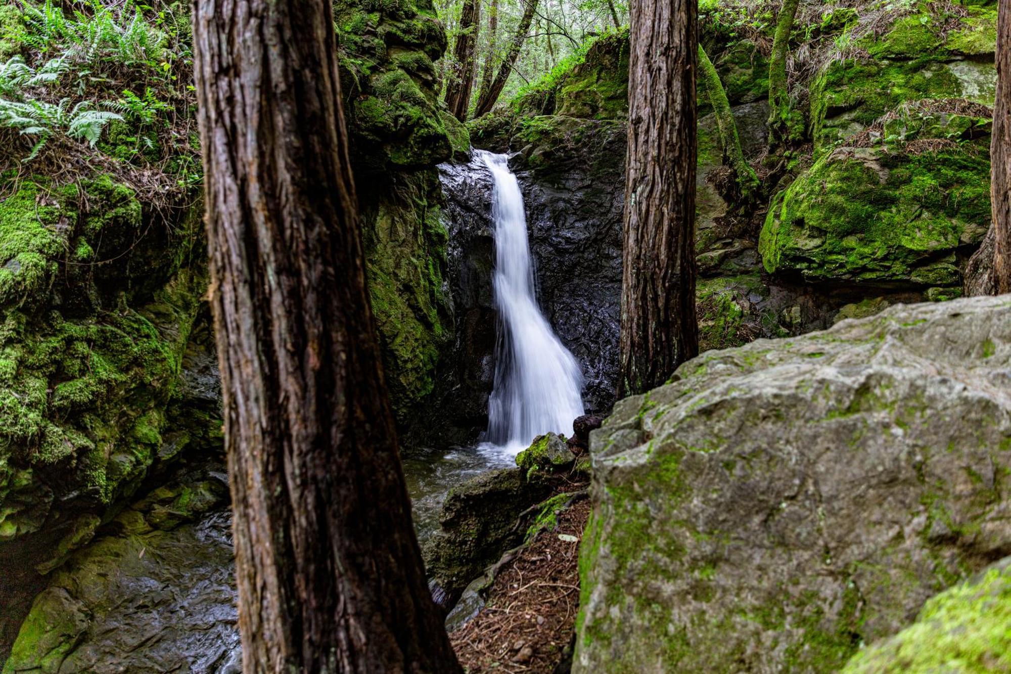 Enchanted Waterfall Sanctuary Mill Valley Bagian luar foto
