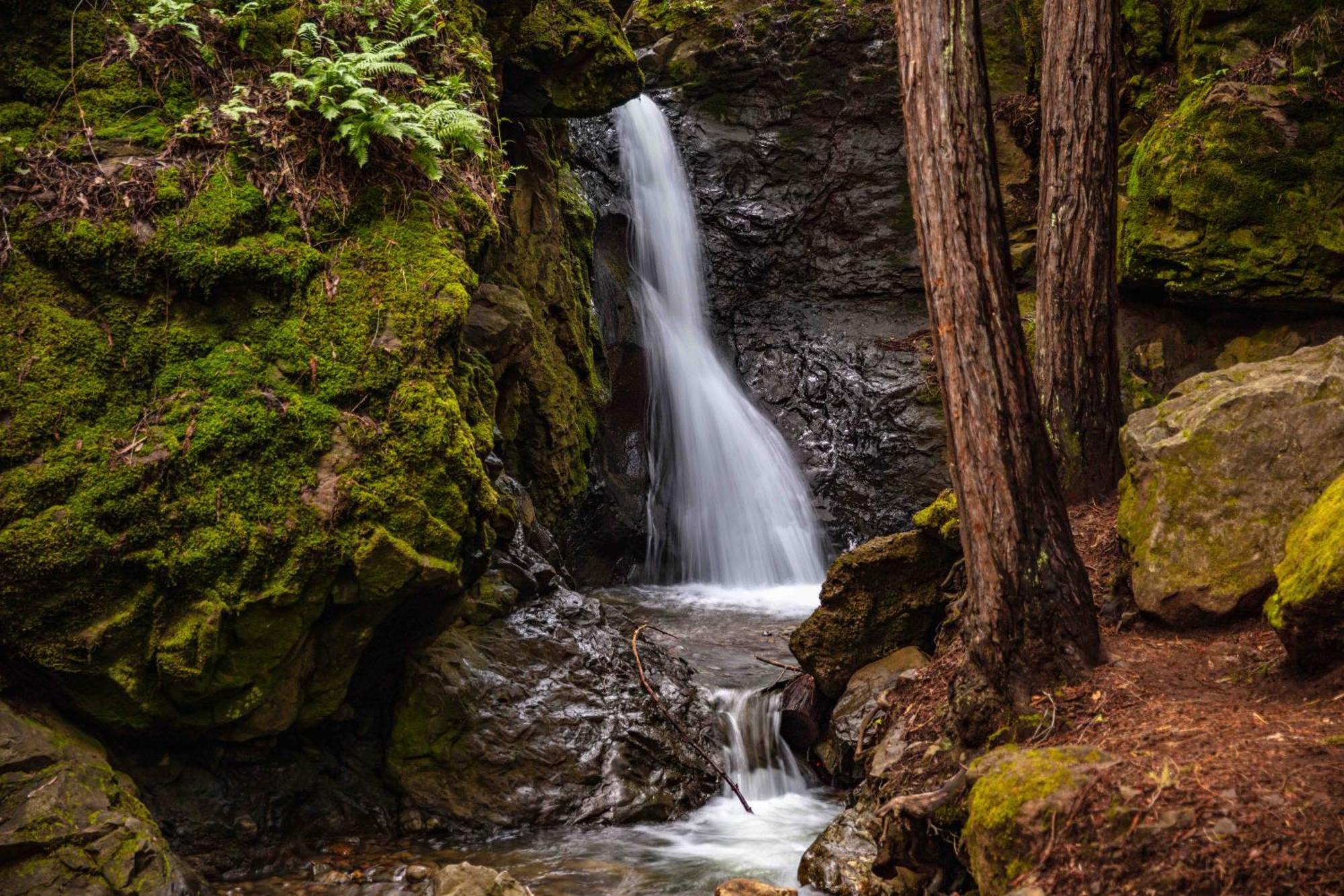 Enchanted Waterfall Sanctuary Mill Valley Bagian luar foto
